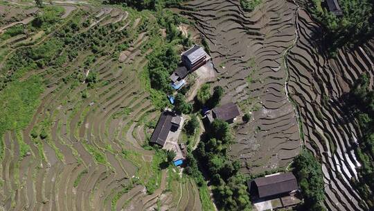 航拍山村田园湖南紫鹊界梯田