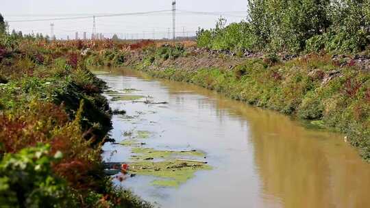 邢台牛尾河老河道 河道视频素材模板下载