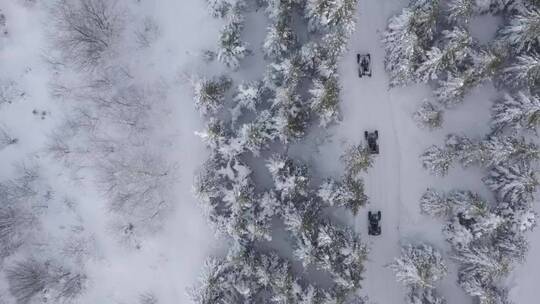 驾车穿过白雪覆盖的森林