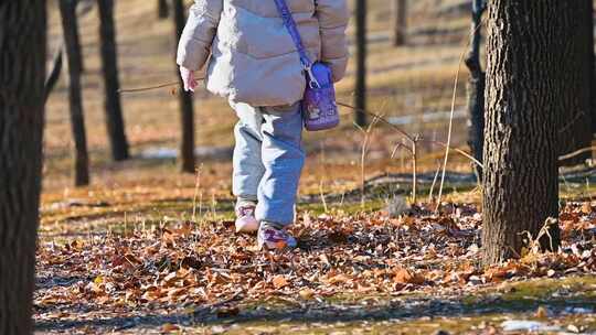 秋季儿童在落叶上漫步慢镜头