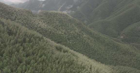 平塘马安竹海航拍