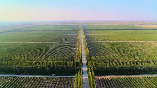 航拍酒庄葡萄园红酒葡萄酒宁夏贺兰山视频素材模板下载