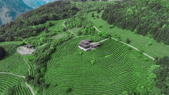 茶山茶海蓝天白云航拍