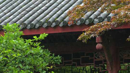 重庆雨季下雨屋檐实拍