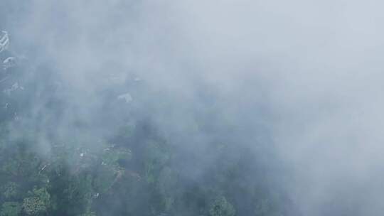 清晨日出4K航拍大自然风景树林云雾
