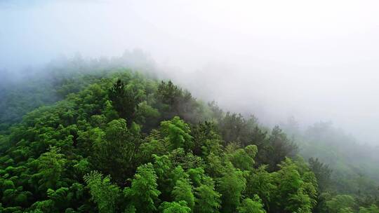 清晨大雾中的湖州安吉山区乡村航拍