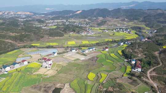 航拍乡村田野油菜花田