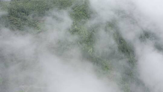 高清4K云海航拍山区森林风光风景素材空镜