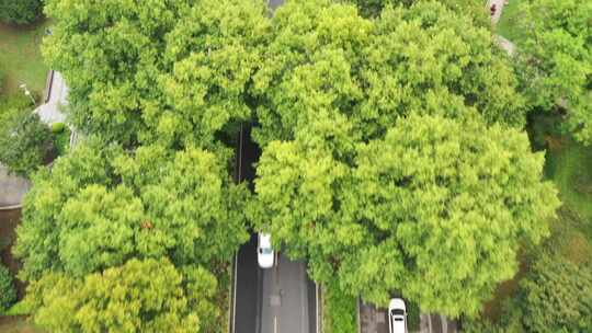 4K夏日南京鼓楼明城墙挹江门