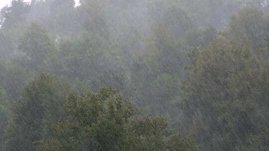 雨天水滴下雨意境