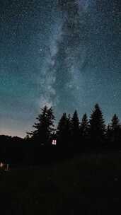 垂直全景星空夜空银河银河森林上空