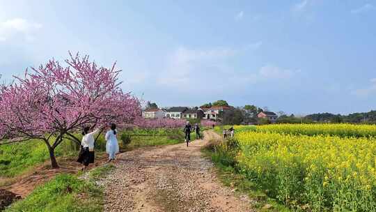 乡村田园骑自行车的人