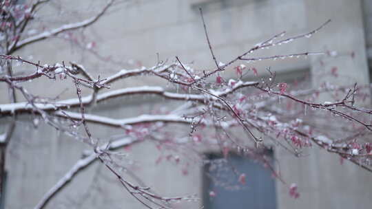 武汉武昌红巷五大会址雪景