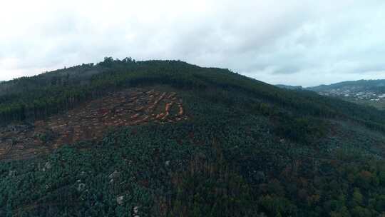 山区森林砍伐