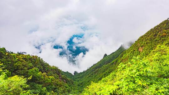 湖南郴州宜章莽山五指峰雨后云海