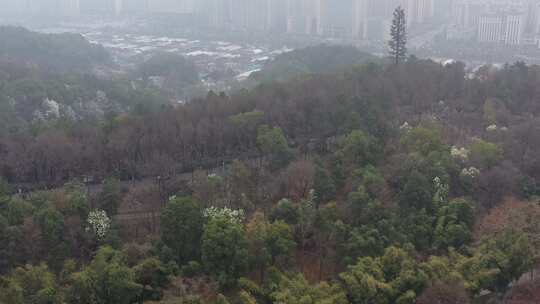 湖南省植物园航拍