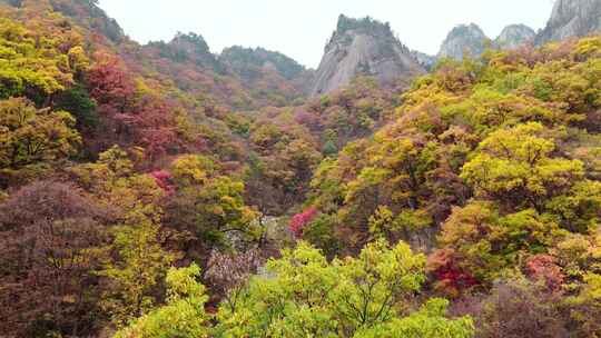 南阳老界岭秋景风光