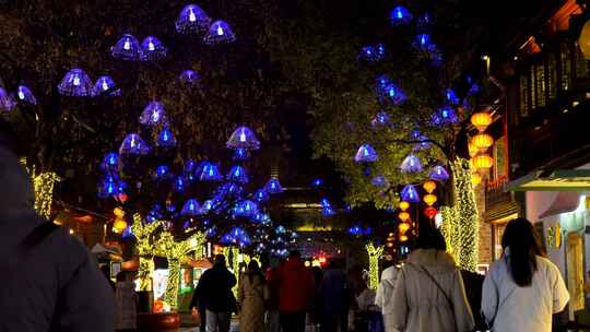 中国秦淮灯会南京老门东新年夜赏花灯的人流