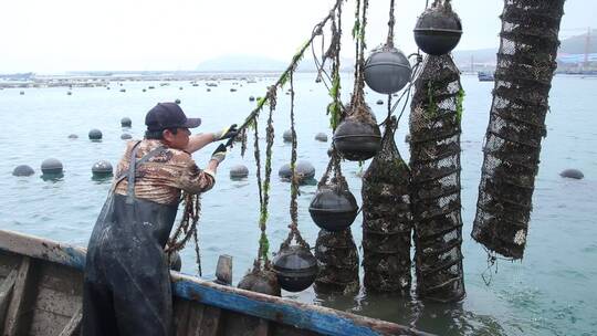 渔村海洋海岛生活风光渔民收网