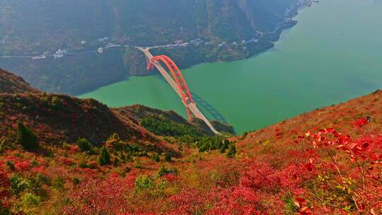 大气重庆市巫山县巫峡口红叶延时