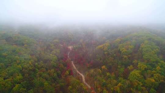 航拍吉林拉法山国家森林公园蛟河红叶谷秋景