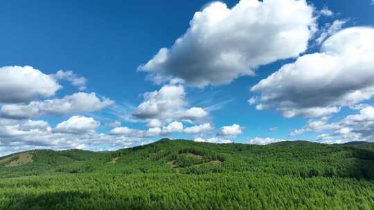 大兴安岭绿色森林蓝色天空白云朵朵