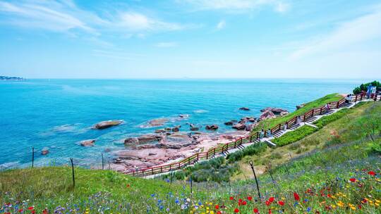 青岛夏天燕岛山鲜花与大海