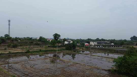 四川乡村土地、白鹭飞鸟