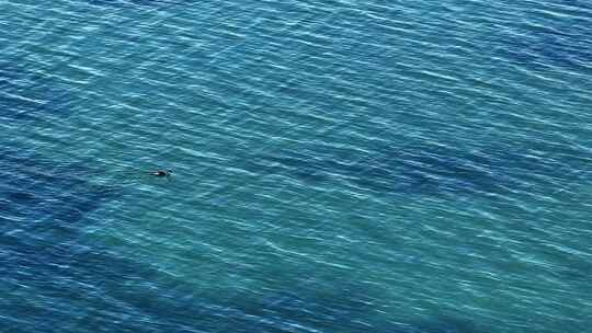 青海湖泊