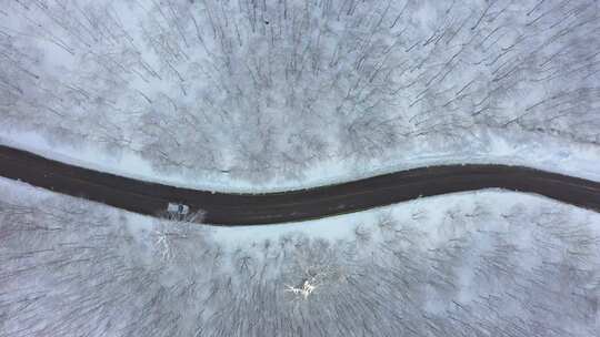 汽车在下雪的路上行驶