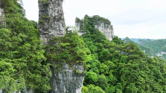 世界遗产地喀斯特 施秉云台山 白云岩山峰