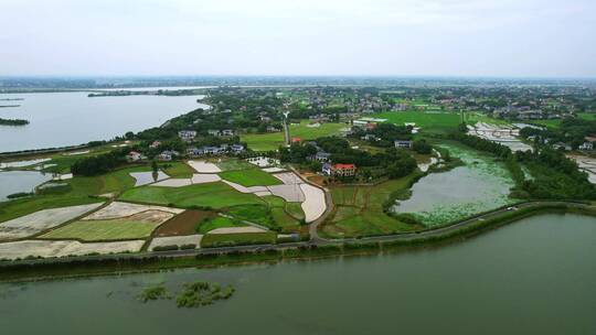 南方农村水乡风景-团头湖低空航拍