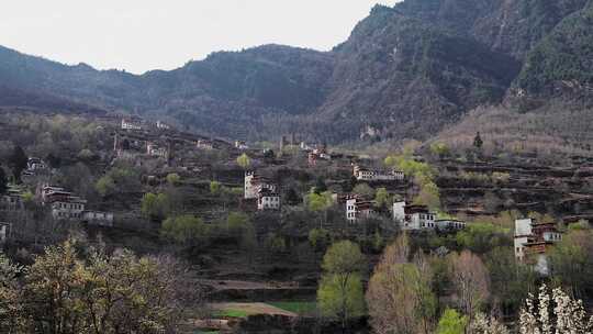 乡村风景丹巴藏寨梨花开