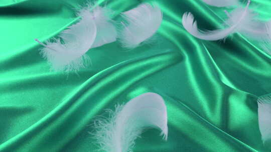 白天鹅的羽毛落在绿色丝绸上。慢动作。