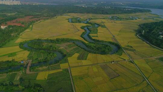 金黄稻田农田乡村农业航拍乡村建设01