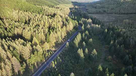 森林公路  航拍开车 航拍 山林驾驶汽车 4k