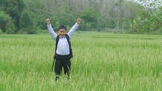 亚洲男孩欢呼在稻田