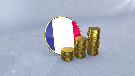 法国国旗与普通金币塔视频素材模板下载