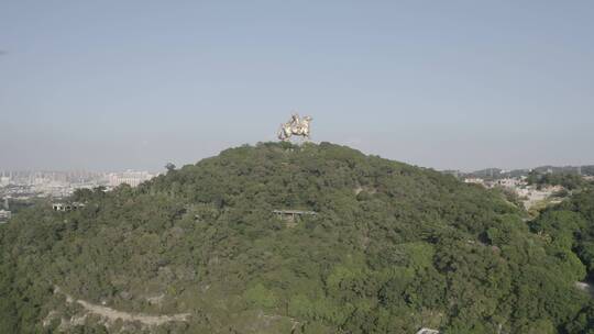 闽南 福建 泉州 郑成功雕像 大坪山公园视频素材模板下载