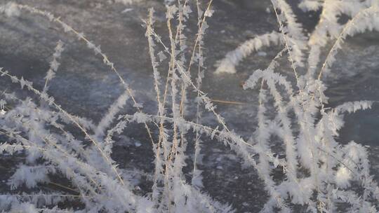 大兴安岭冰封河面上的草叶霜花