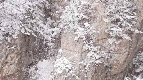 老君山下雪空镜