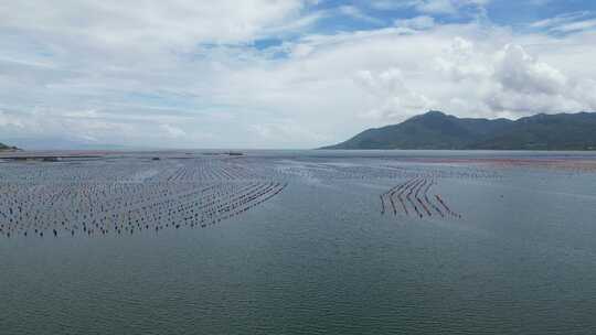 汕头南澳岛海水养殖基地海洋牧场