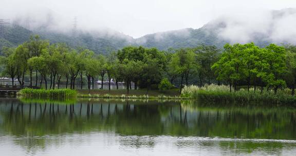 杭州湘湖初夏雨季水鸟空镜