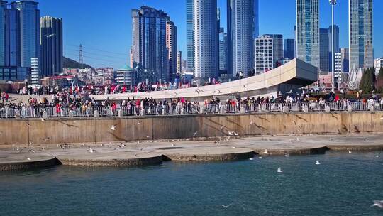 航拍大连星海广场落日下漫天的海鸥