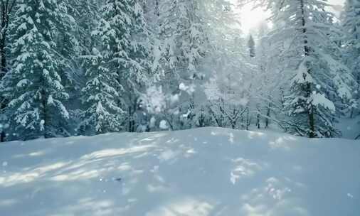 唯美冬季雾凇雪景 (2)