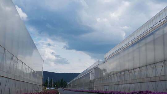 联栋温室大棚  智能温室 农业现代化