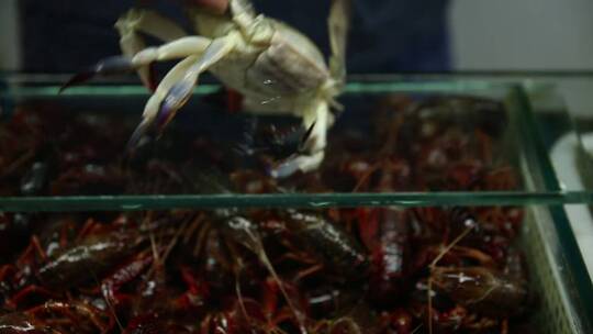 海鲜市场卖飞蟹梭子蟹 (8)