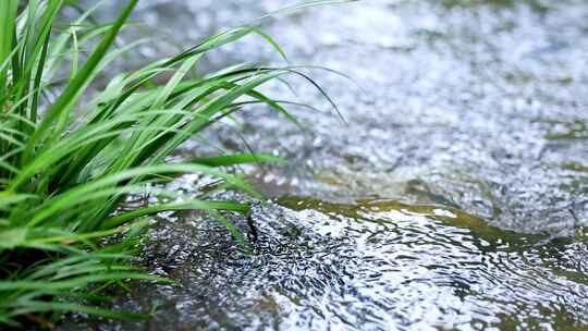 山涧流水潺潺升格特写