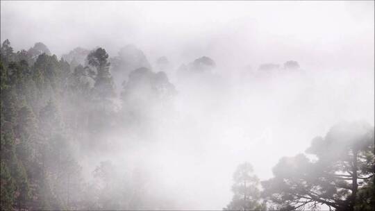 大雾中的黄山美景