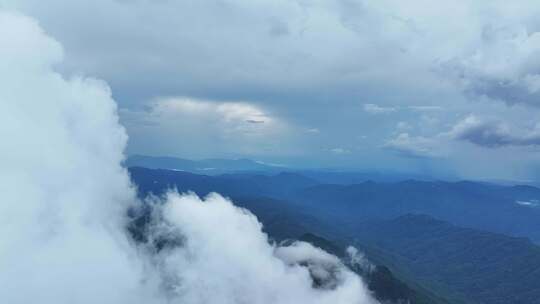 海南乐东县尖峰岭国家森林公园热带雨林